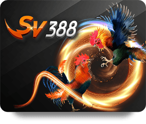 Mẹo và bí quyết để thắng lớn trong blackjack trực tuyến